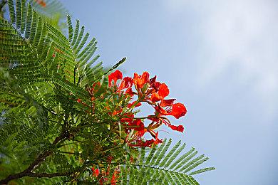 尼尔谈《最后的生还者3》：有更多的故事要讲述